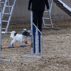 20211031 IMG 1092 1400