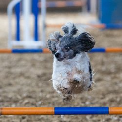 20211031 IMG 1096 1400