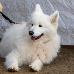 20211031 IMG 1103 1400