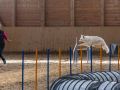 20211031 IMG 1104 1400