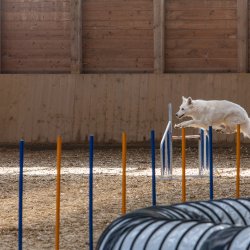 20211031 IMG 1104 1400