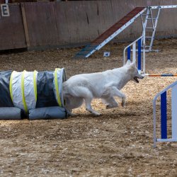 20211031 IMG 1112 1400