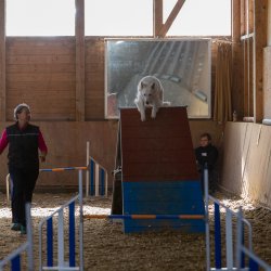 20211031 IMG 1115 1400