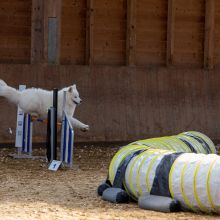 20211031 IMG 1125 1400