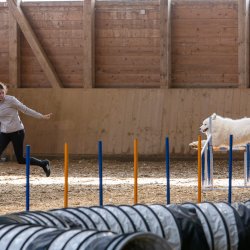 20211031 IMG 1136 1400