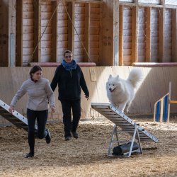 20211031 IMG 1139 1400