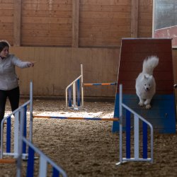 20211031 IMG 1151 1400