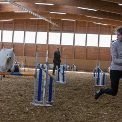 20211031 IMG 1155 1400