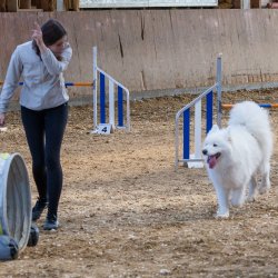 20211031 IMG 1160 1400