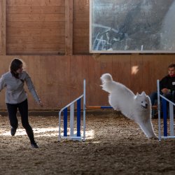 20211031 IMG 1167 1400