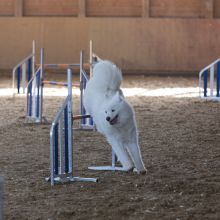 20211031 IMG 1171 1400