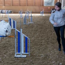 20211031 IMG 1177 1400