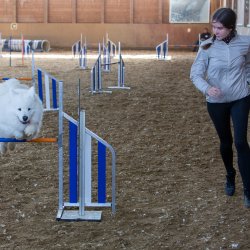 20211031 IMG 1177 1400