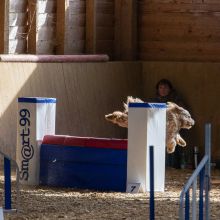 20211031 IMG 1184 1400