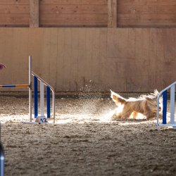 20211031 IMG 1192 1400