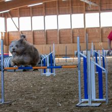 20211031 IMG 1196 1400