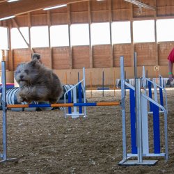 20211031 IMG 1196 1400