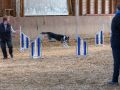 20211031 IMG 1199 1400