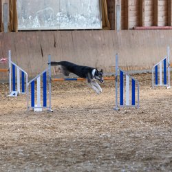 20211031 IMG 1199 1400