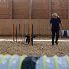 20211031 IMG 1252 1400