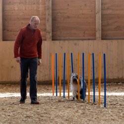 20211031 IMG 1258 1400