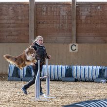 20211031 IMG 0595 1400