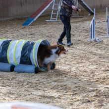 20211031 IMG 0610 1400