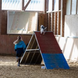 20211031 IMG 0694 1400