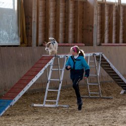 20211031 IMG 0706 1400