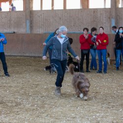 20211031 IMG 1324 1400