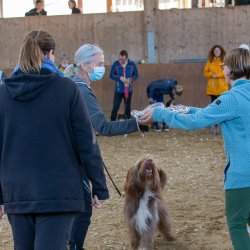 20211031 IMG 1326 1400