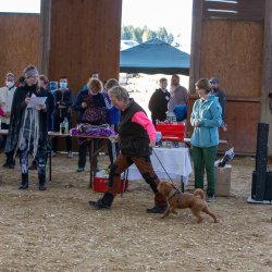 20211031 IMG 1358 1400