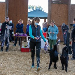 20211031 IMG 1365 1400