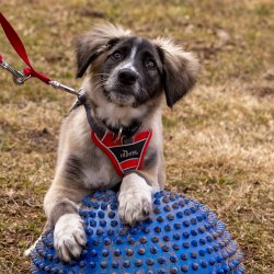 Index 1400px 20220312 IMG 1396