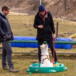 Index 1400px 20220312 IMG 1397