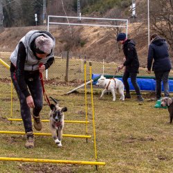 Index 1400px 20220312 IMG 1404