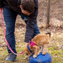 Index 1400px 20220312 IMG 1411