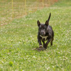 20220612 IMG 2076 1400