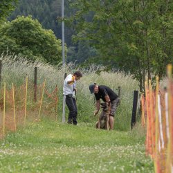 20220612 IMG 2078 1400