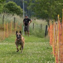 20220612 IMG 2083 1400