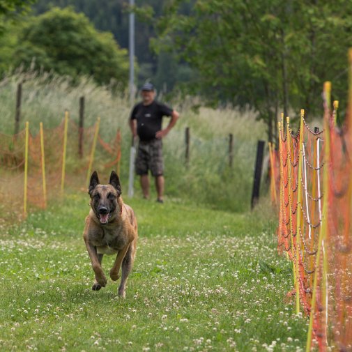 20220612 IMG 2083 1400