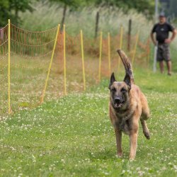 20220612 IMG 2084 1400