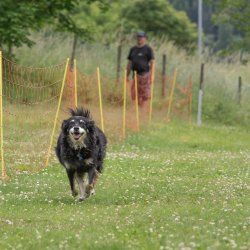 20220612 IMG 2097 1400