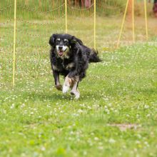 20220612 IMG 2100 1400