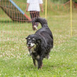 20220612 IMG 2101 1400