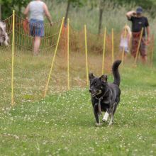 20220612 IMG 2104 1400