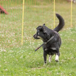 20220612 IMG 2108 1400