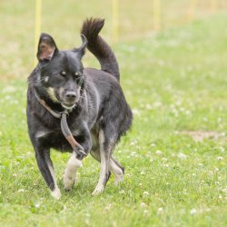 20220612 IMG 2110 1400