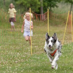 20220612 IMG 2117 1400