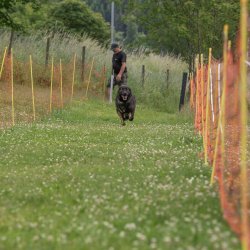 20220612 IMG 2127 1400